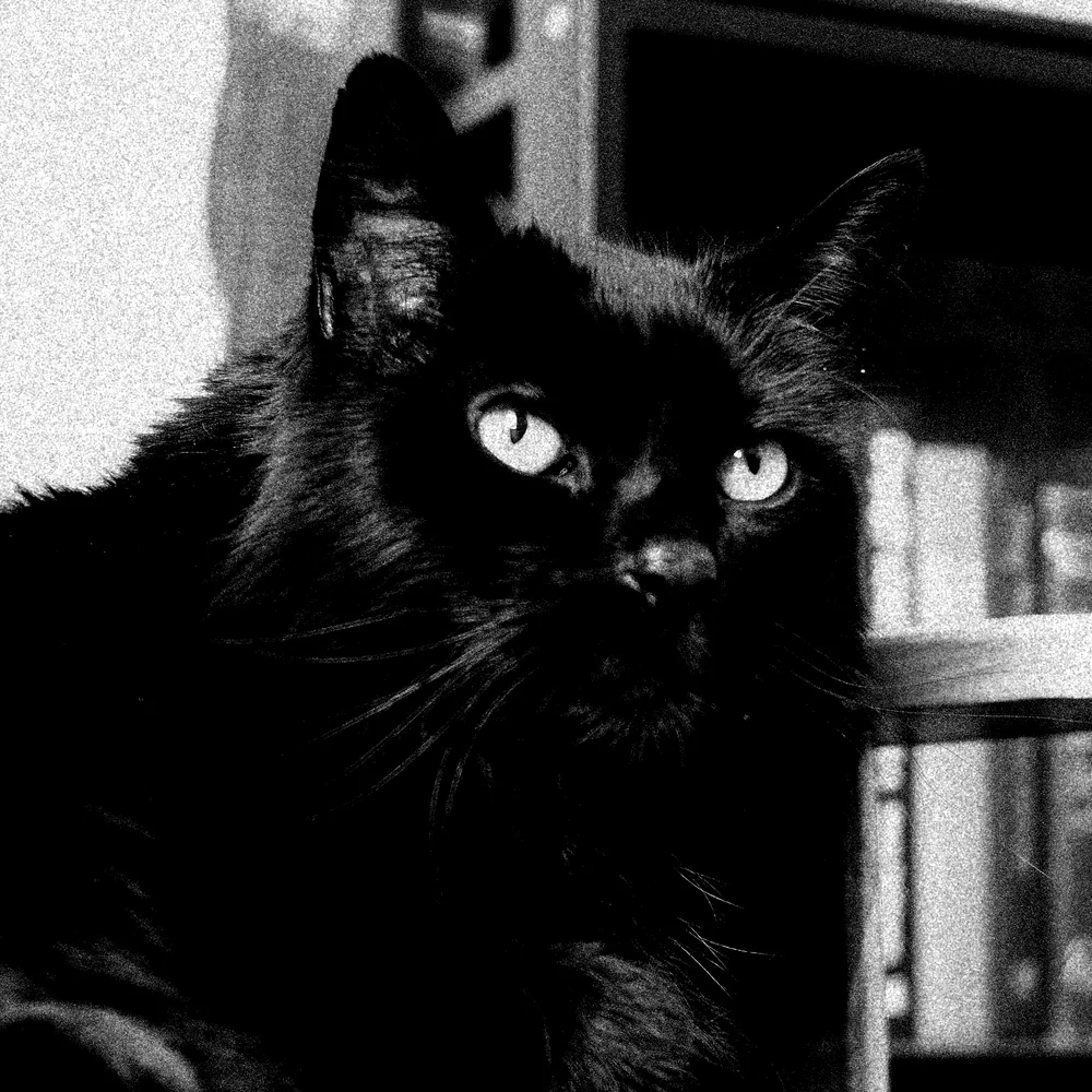 Milo
